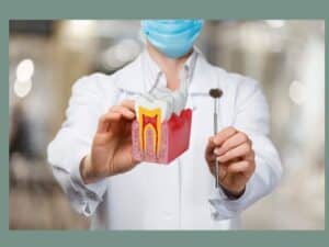 What is endodontics, explained by The Sugar House Dentist